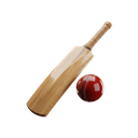 Cricket